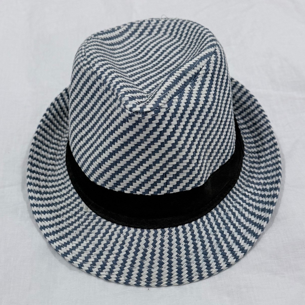 EUC Blue and White Striped Fedora